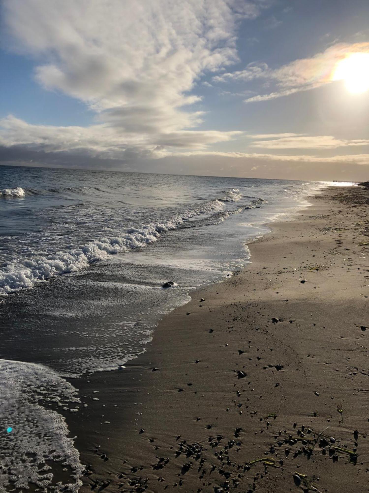 Strandhaus Direkt Am Meer Suessau Heringsdorf  Dış mekan fotoğraf
